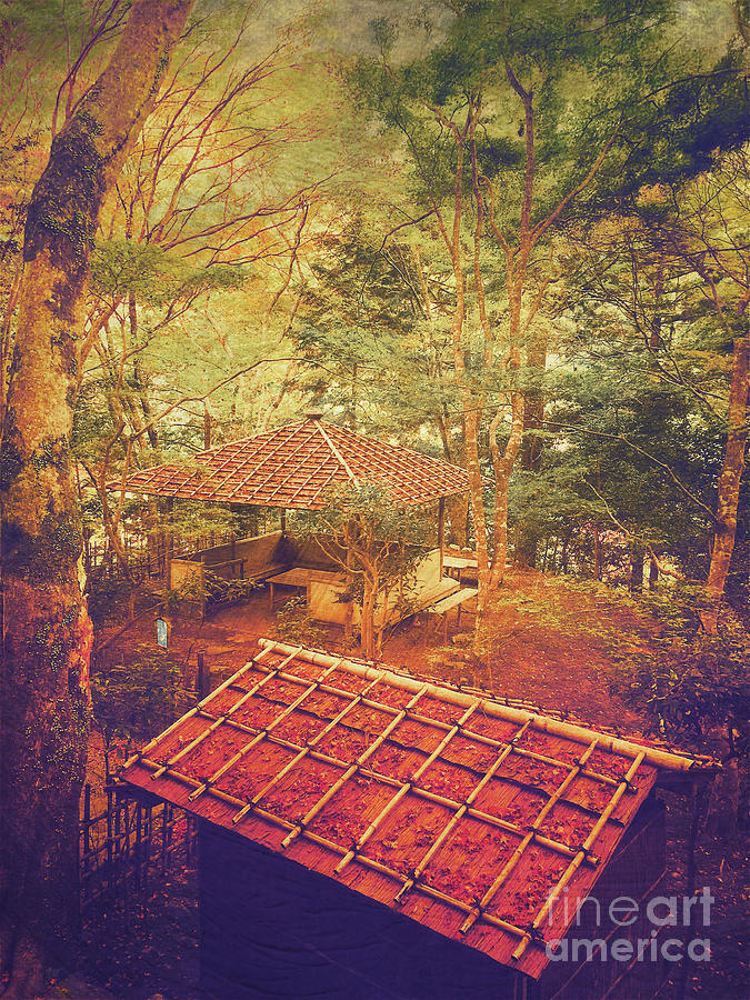 Wooden Gazebo and Small Shed in Forest Photograph by Beverly Claire Kaiya