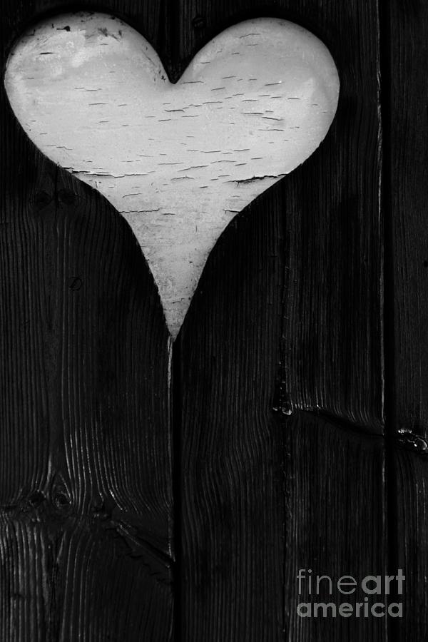 Wooden Heart Photograph by Wendy Wilton