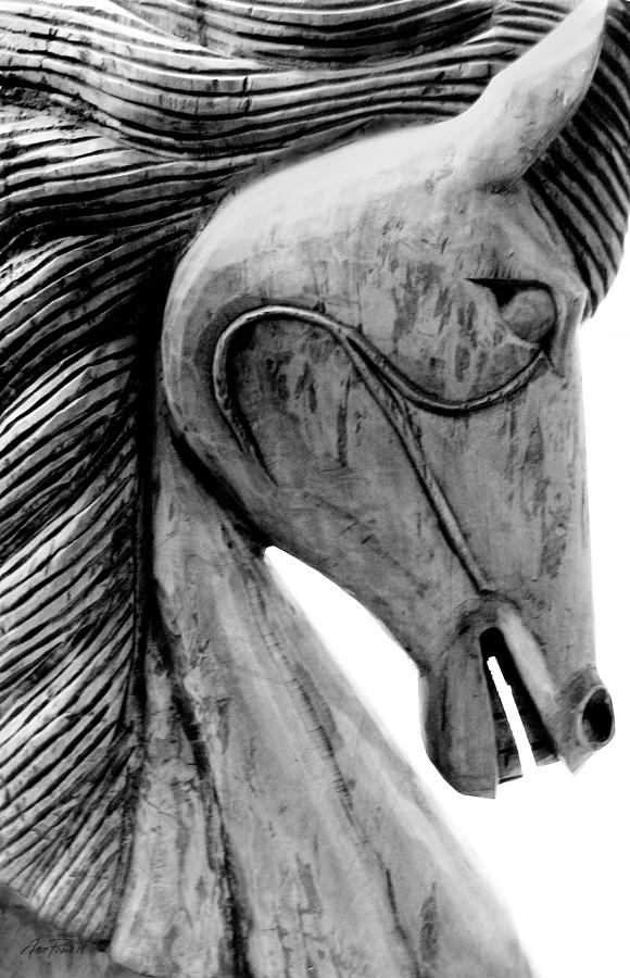 Wooden Horse in Black and White Photograph by Ann Powell