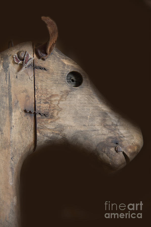 Wooden Horse Photograph by Margie Hurwich