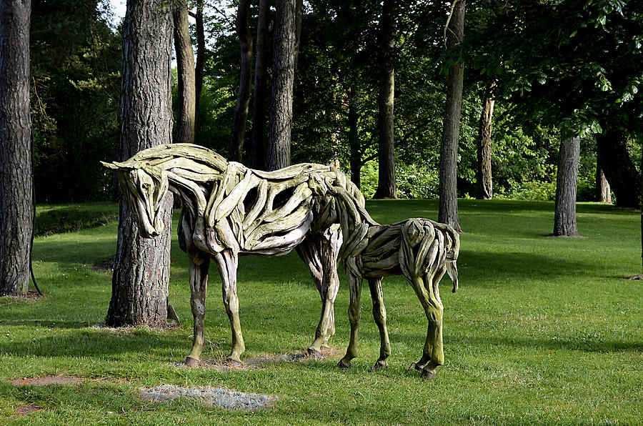 Wooden Horses in the Woods Photograph by Richard Ortolano