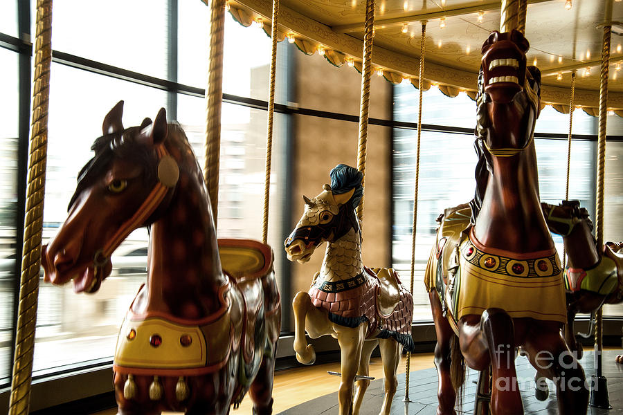 Wooden Horses Photograph by Randall Cogle