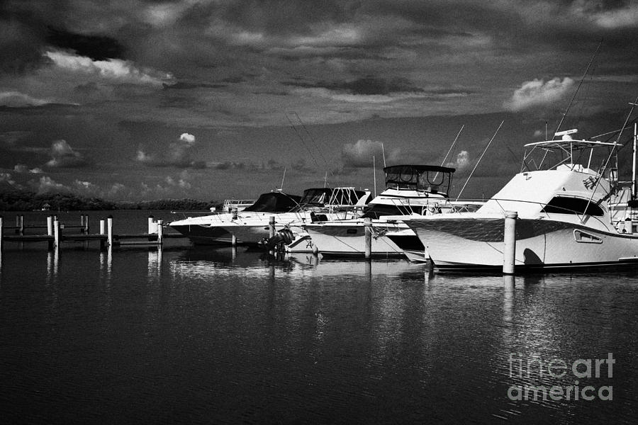 Sports Photograph - Wooden Jetty And Sports Boats Islamorada Florida Keys Usa by Joe Fox