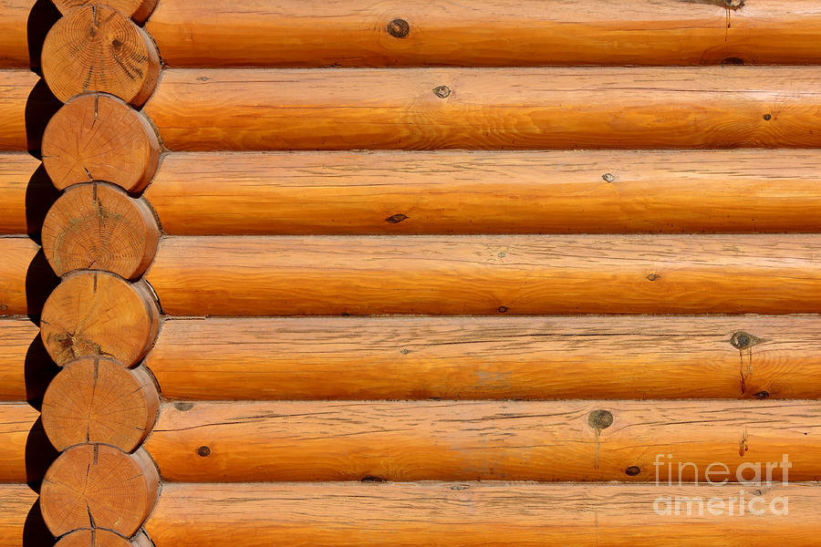 Abstract Photograph - Wooden Logs Wall Background by Kiril Stanchev