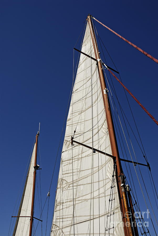 Wooden masts and sails Photograph by Sami Sarkis | Fine Art America