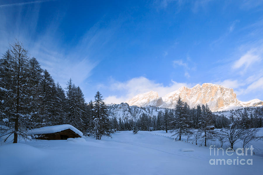 Wooden mountain hut near woods in winter - Italian alps Photograph by Matteo Colombo