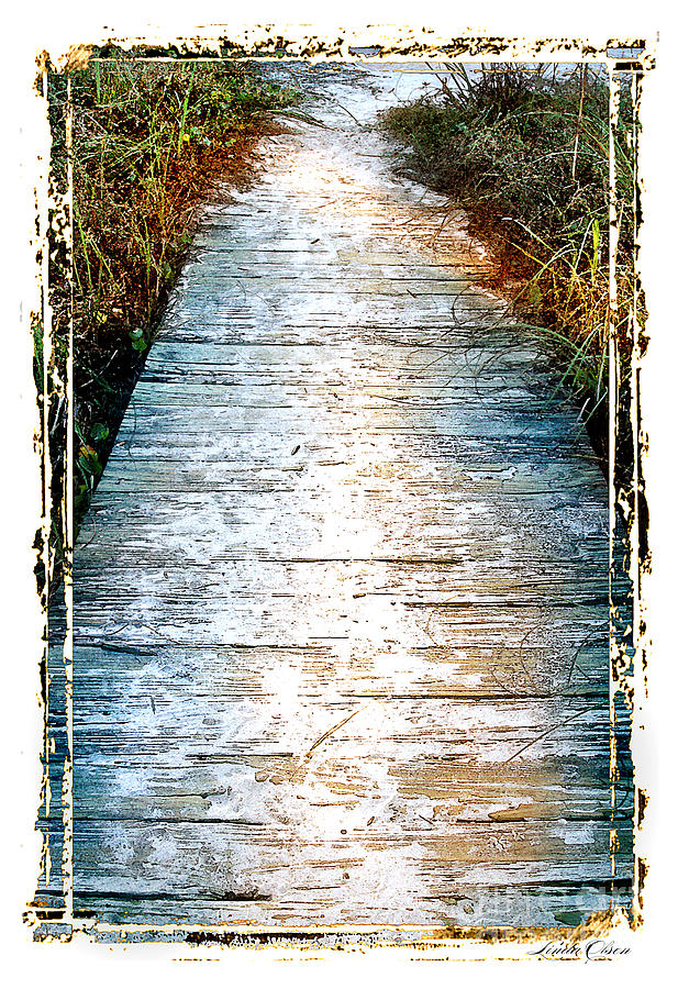Wooden Path Photograph by Linda Olsen