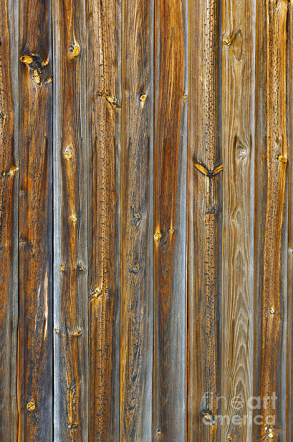 Wooden Planks Background Photograph by Carlos Caetano - Fine Art America