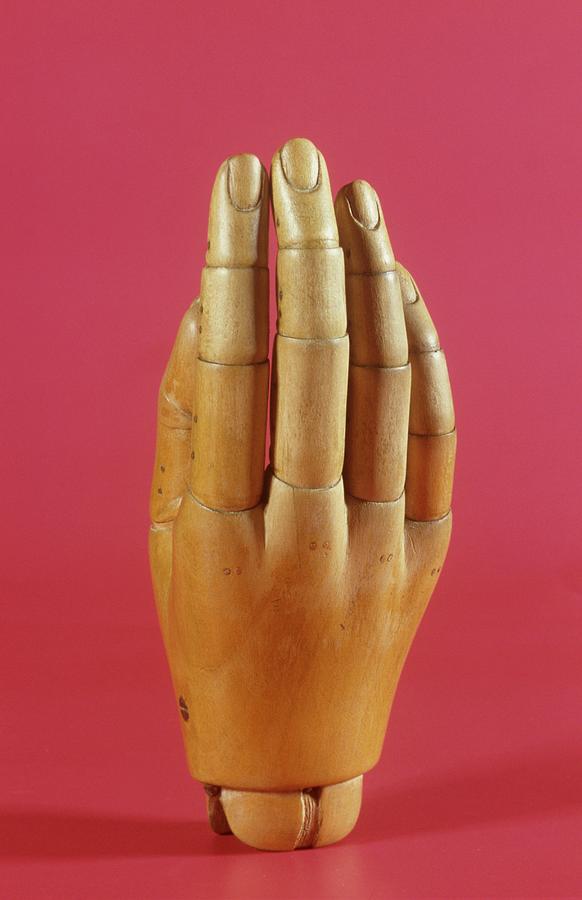 Wooden prosthetic hand with rigid fingers