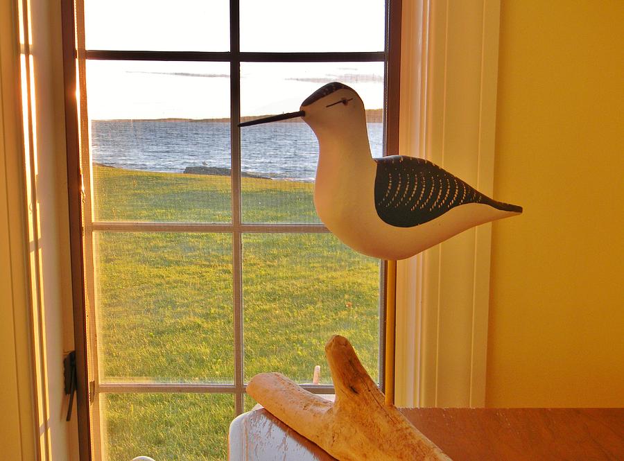 Wooden Seagull at the Window Greeting Card Photograph by Jean Goodwin Brooks