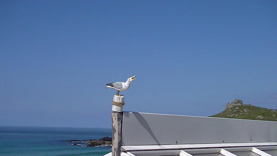 Wooden Seagull Photograph by Nieve Andrea 
