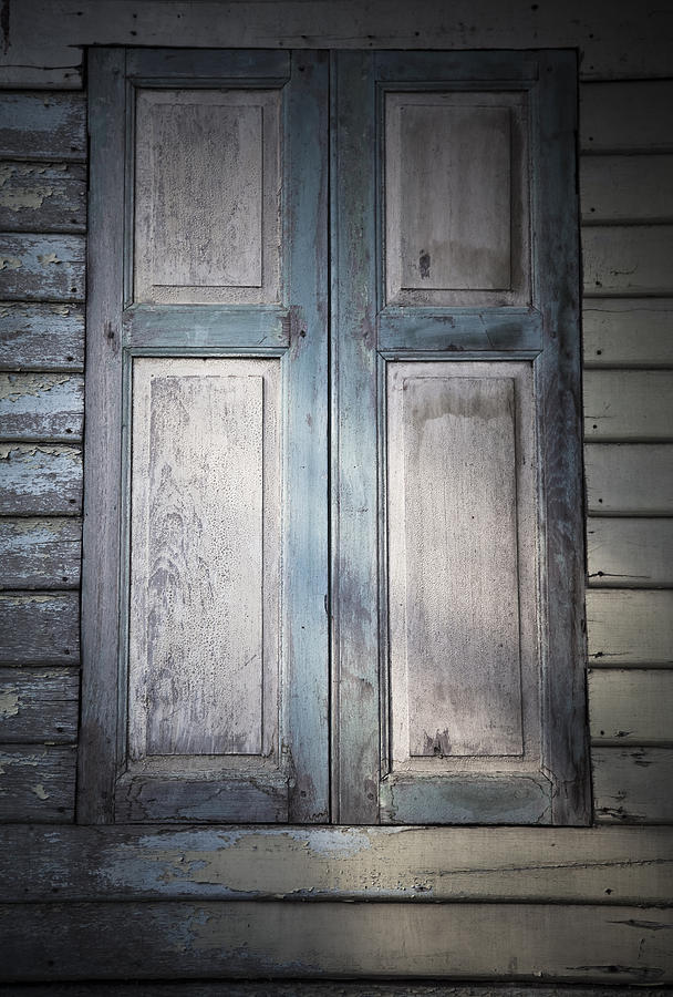 Wooden shutter Photograph by Maria Heyens