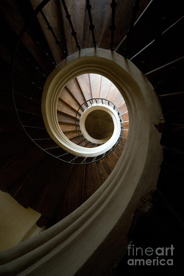 Wooden spiral Photograph by Jaroslaw Blaminsky