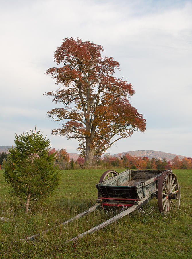 Wooden Wagon and Fall Foliage Photograph by Jack Nevitt