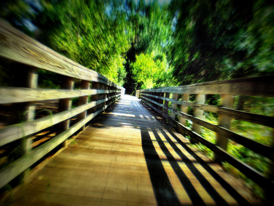 Wooden Walkway Photograph By Bill Noonan 