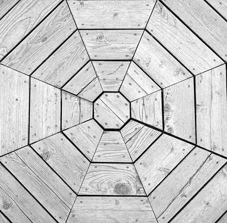 Wooden Web Photograph by Valentino Visentini