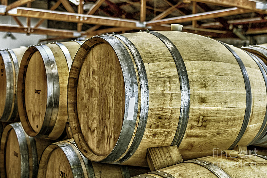 Wooden wine barrels Photograph by Patricia Hofmeester