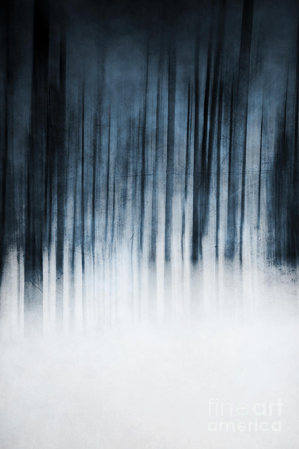 Woodland Abstract Photograph by David Lichtneker