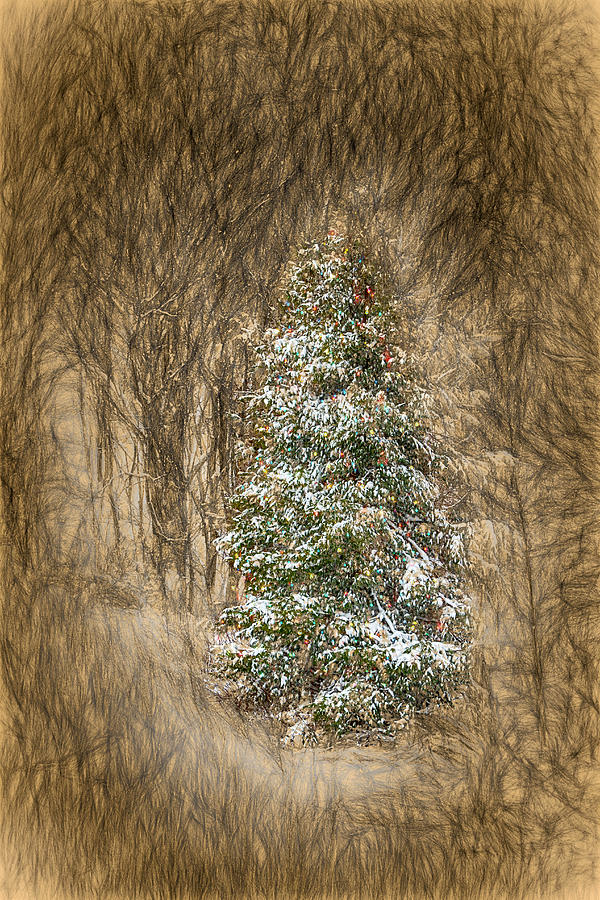 Woodland Christmas Mixed Media by John Haldane