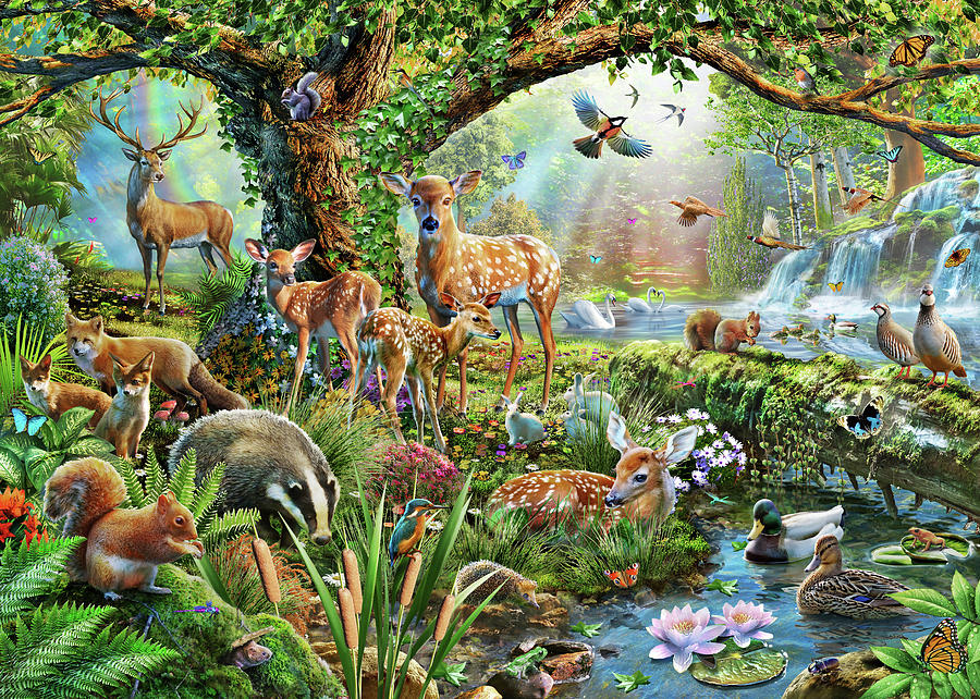 Nature Drawing - Woodland Creatures by MGL Meiklejohn Graphics Licensing