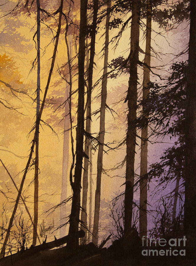 Woodland Dawn Painting by James Williamson