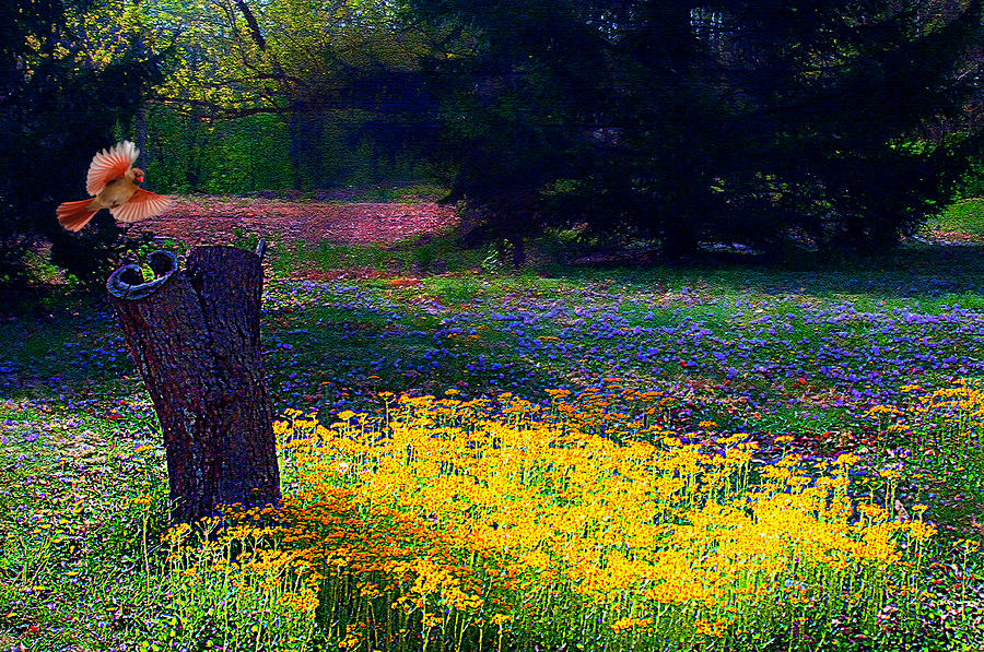 Woodland  Glade Spring Flowers Photograph by Randall Branham