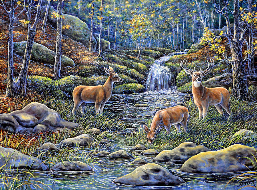 Woodland Sanctuary Painting by Gail Butler