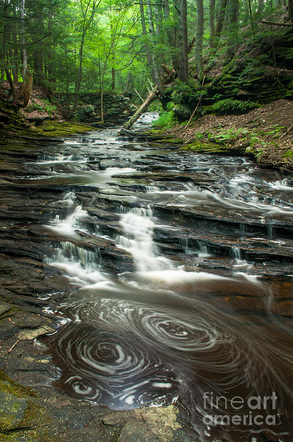 Woodland Stream - Grayville Riverscape Photograph by JG Coleman
