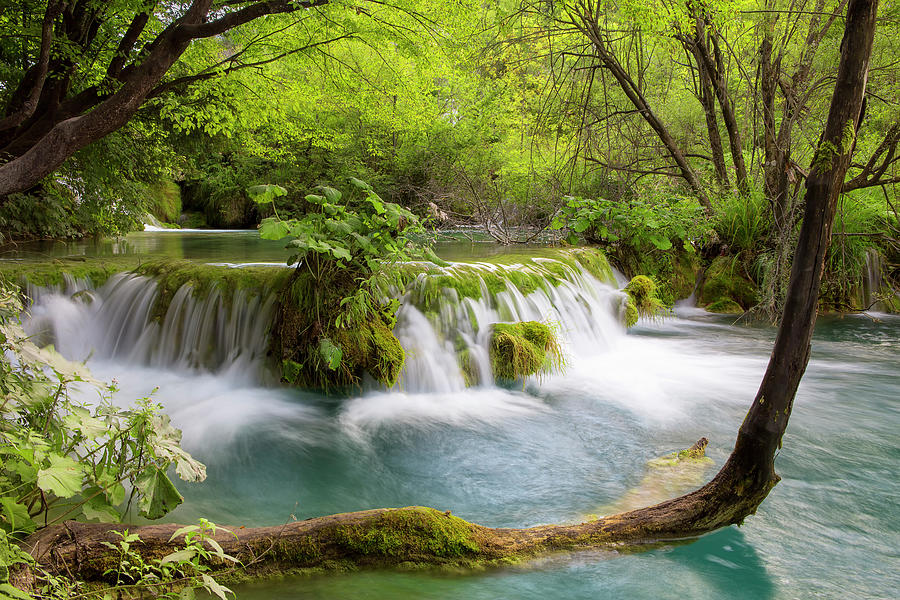 Woodland Stream In Plitvice Lakes Photograph by Dietermeyrl - Fine Art ...