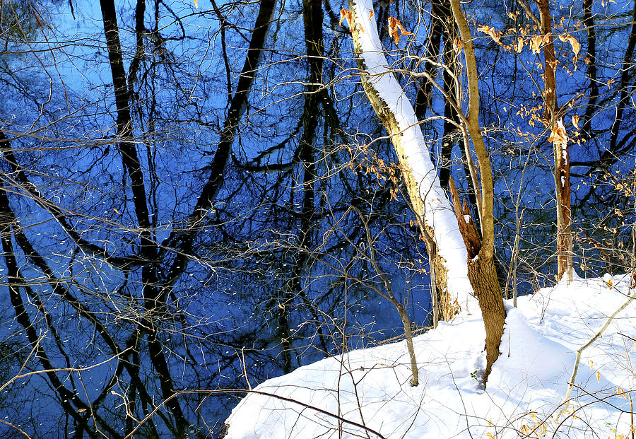 Woodland Stream with New Snow Photograph by A Macarthur Gurmankin