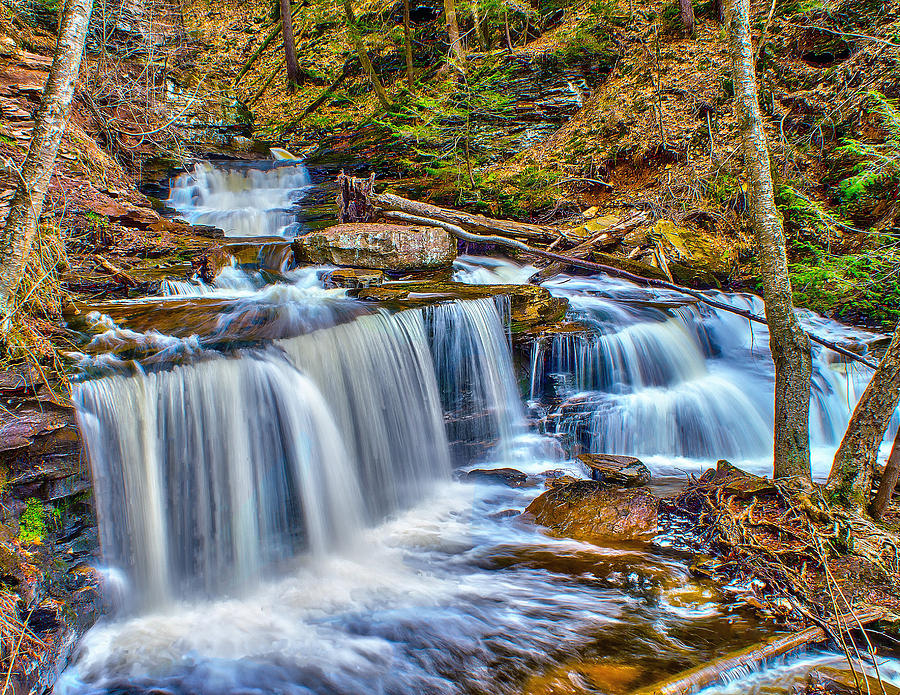 Wateralls in the Woods Photograph by Nick Zelinsky Jr