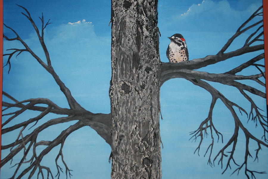 Woodpecker  Painting by Donna Jeanne  Carver