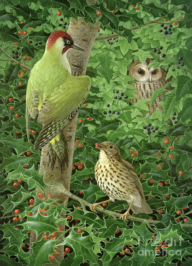 Owl Painting - Woodpecker Owl and Thrush  by Birgitte Hendil