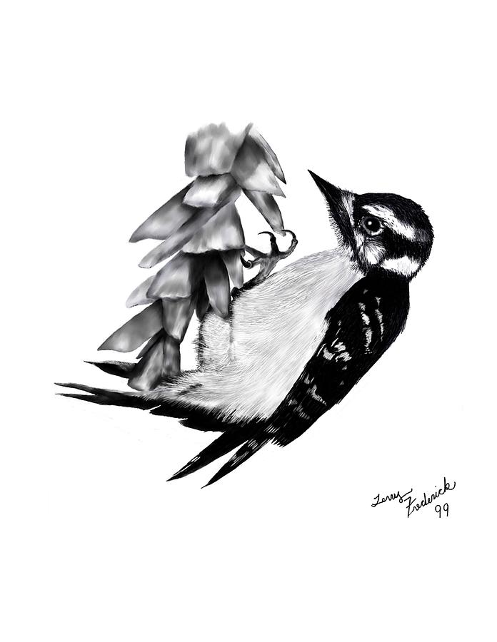 Downy Woodpecker Digital Art by Terry Frederick
