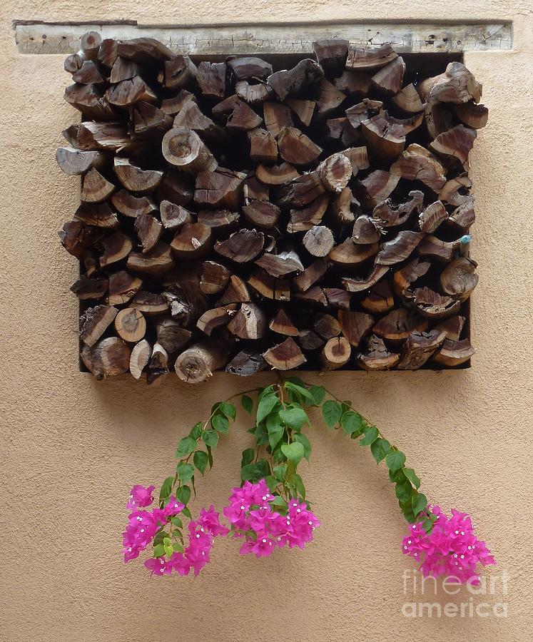 Flower Photograph - Woodpile Plus by Barbie Corbett-Newmin