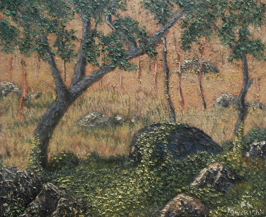 Woods and Rocks Painting by Frank Morrison