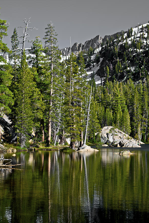 Woods Lake Portrait Photograph by SC Heffner