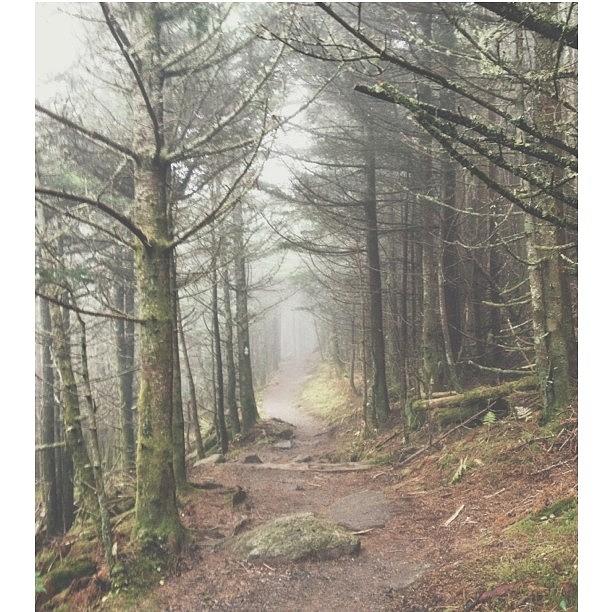 Hiking Photograph - #woods #woodlands #fog #trail #hiking by Jennifer Campbell