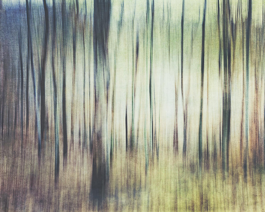 Abstract Photograph - Woodsy by Bonnie Jakobsen-Martin