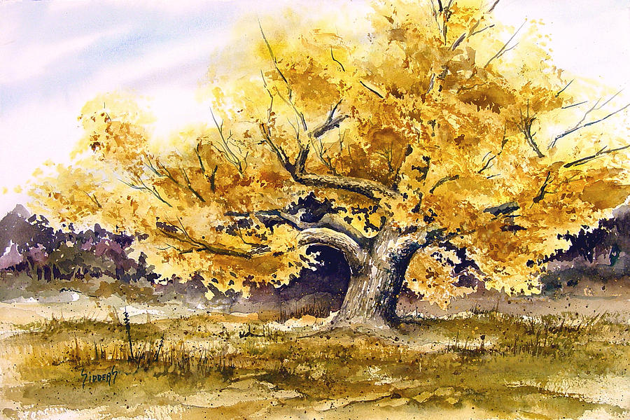 Fall Painting - Woodward Cottonwood by Sam Sidders
