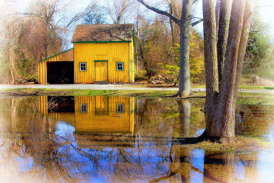 Tree Photograph - Woodworking Shed at Historic Cold Spring Village by Carolyn Derstine