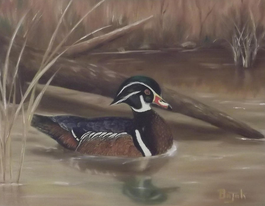 Wood Duck Painting - Woody by Rudolph Bajak Wood Duck Painting - Woody by Rudolph Bajak