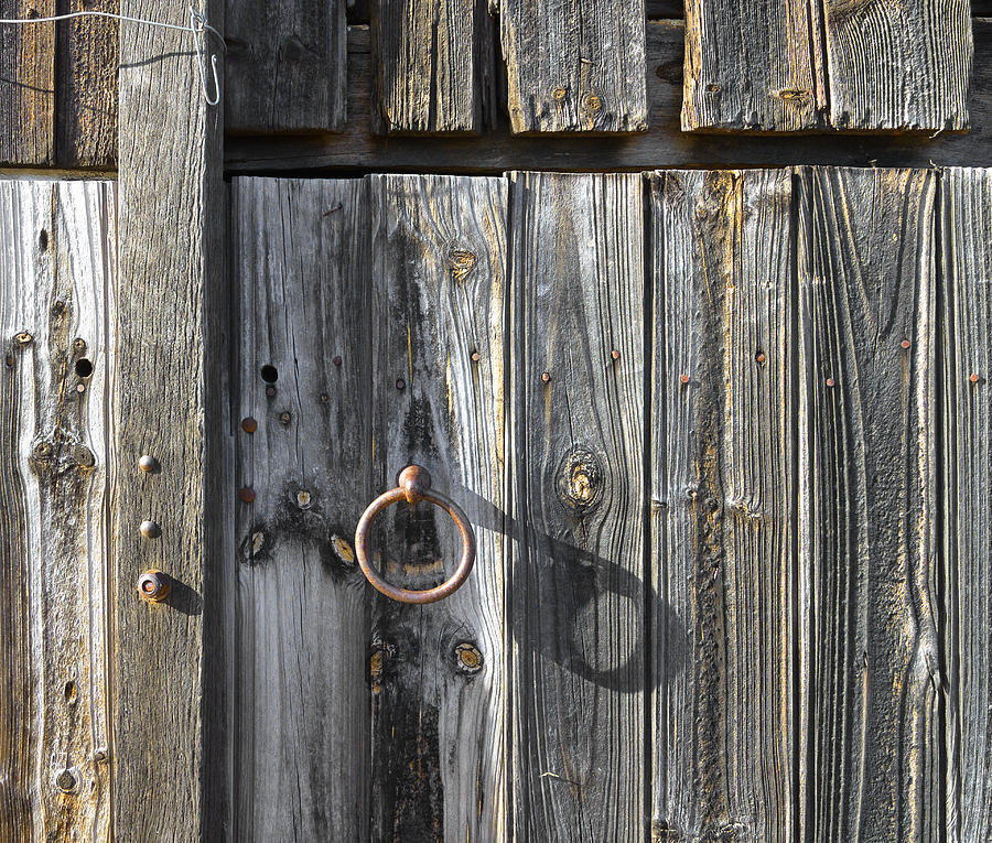 Barn Door Photograph - Woody by Wayne Sherriff