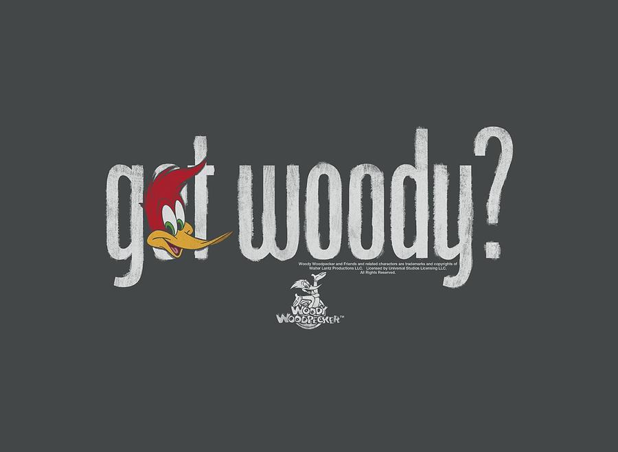 Woody Woodpecker Got Woody Digital Art By Brand A