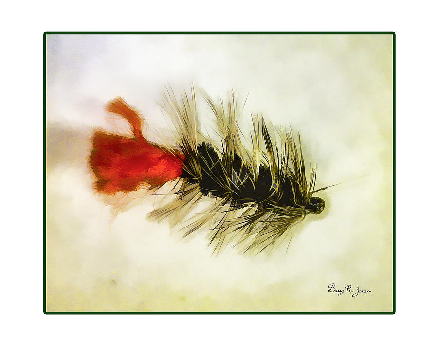 Fly Fishing - Woolly Bugger Digital Art by Barry Jones