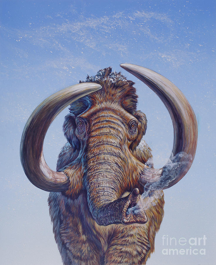 Woolly Mammoth Charging, Pleistocene Digital Art by Mark Hallett