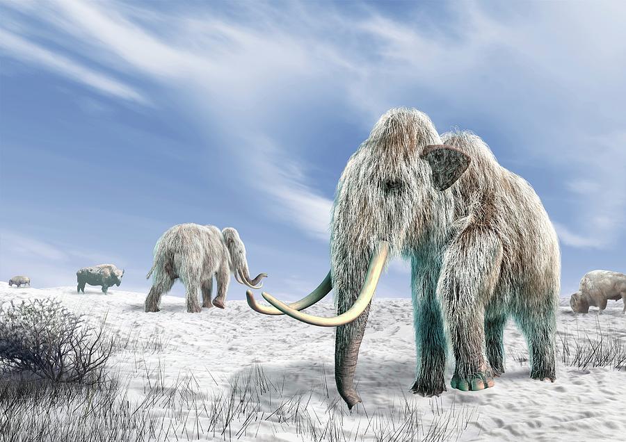 Nature Digital Art - Woolly Mammoths, Artwork by Science Photo Library - Leonello Calvetti