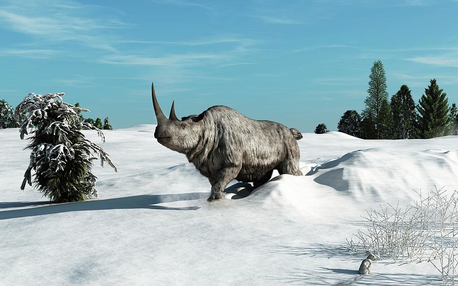Woolly Rhinoceros Photograph by Walter Myers