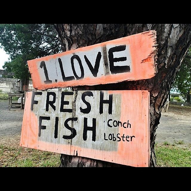 Snapseed Photograph - Word On The Street: I Live Fresh Fish by Sanz Lashley