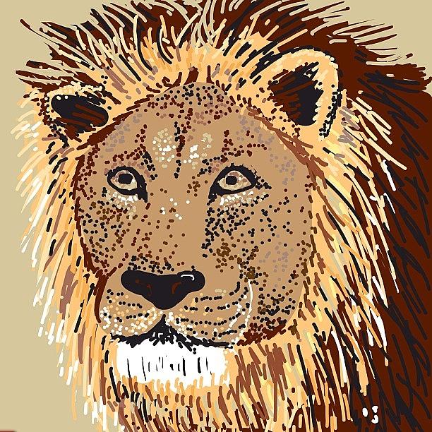 Lion Photograph - Word Was #animal I Drew A #lion #lionds by David Burles